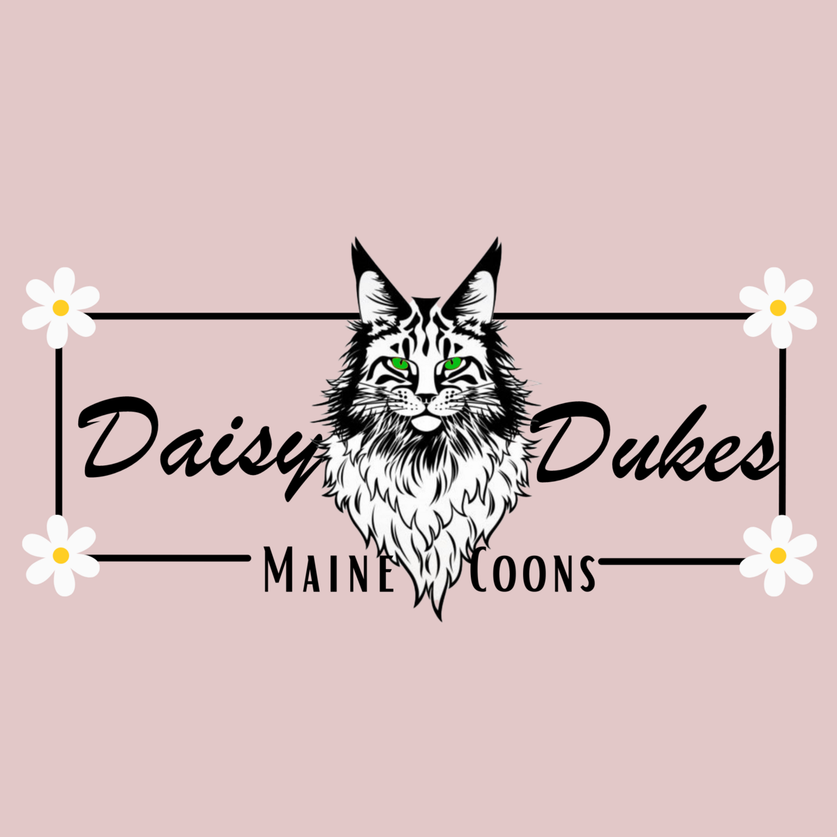 daisydukesmc.com logo