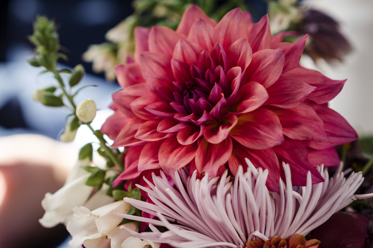 intimate-london-old-marylebone-town-hall-wedding-53