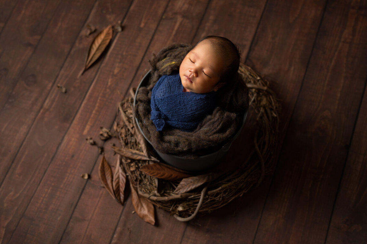 Newborn Asian baby boy wrapped in navy on a brown background with leaves.  The light is hitting his face from the side.  He is asleep.