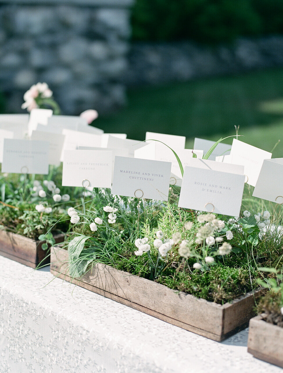 leila-brewster-photography-2016