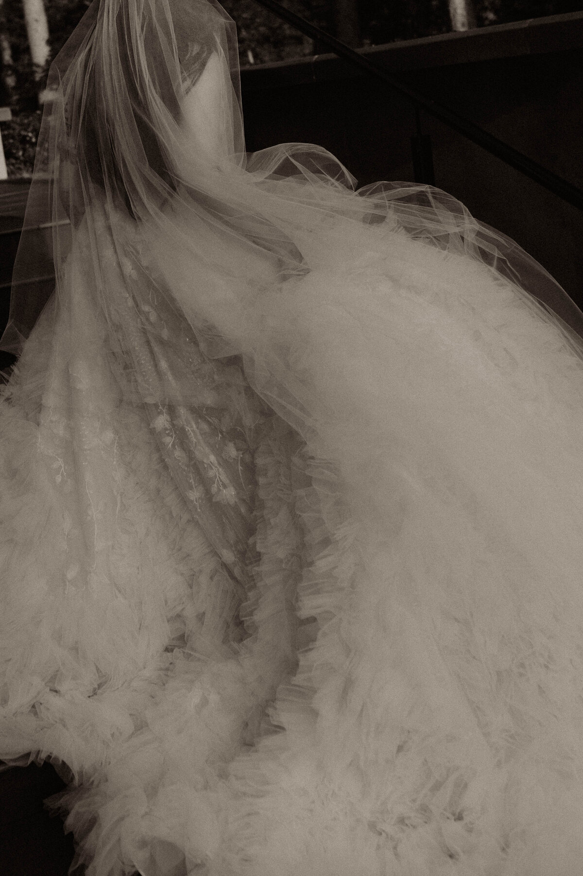 Detailed shot of dress