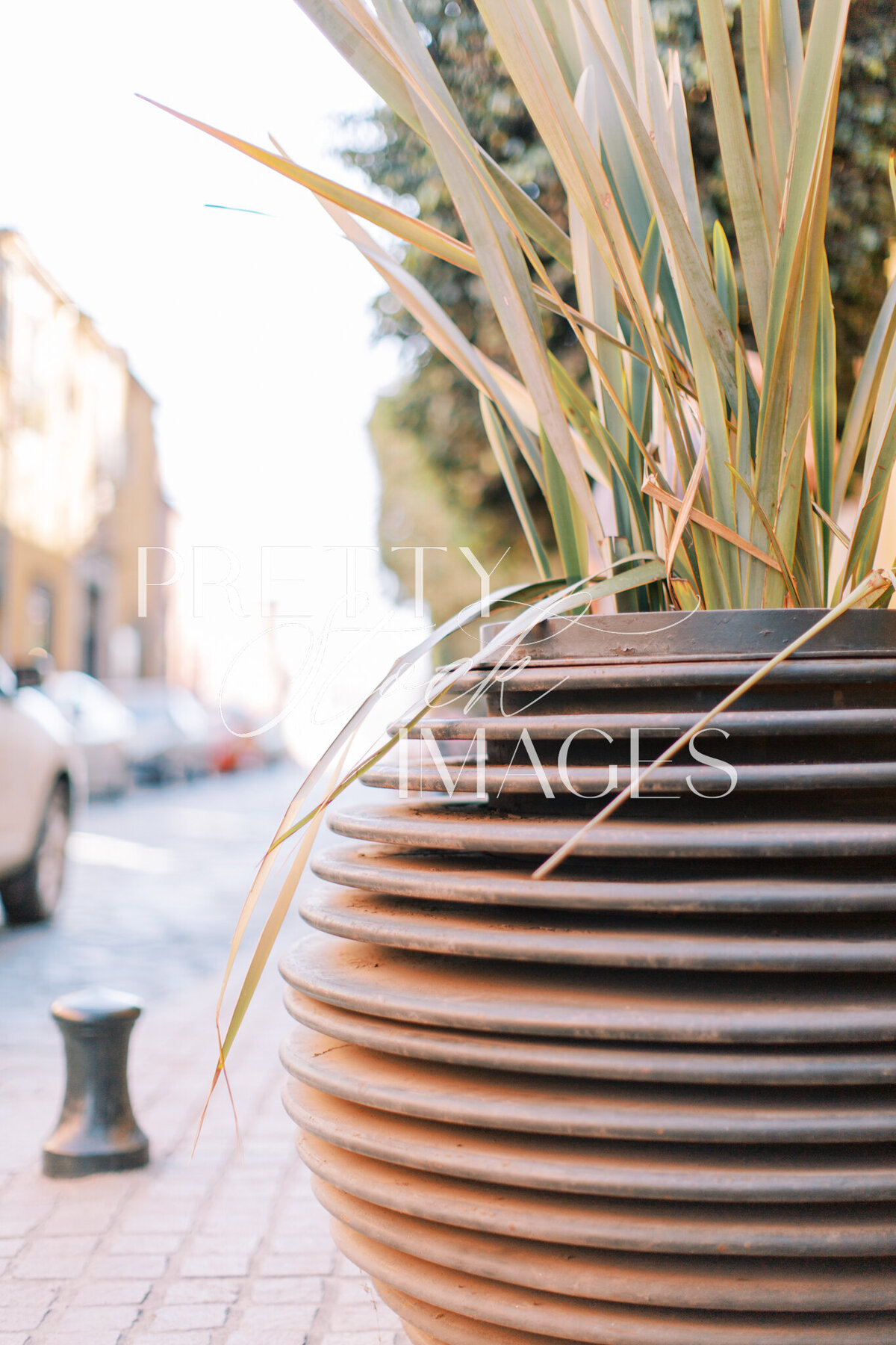 Pretty Stock Images - Mexico-39