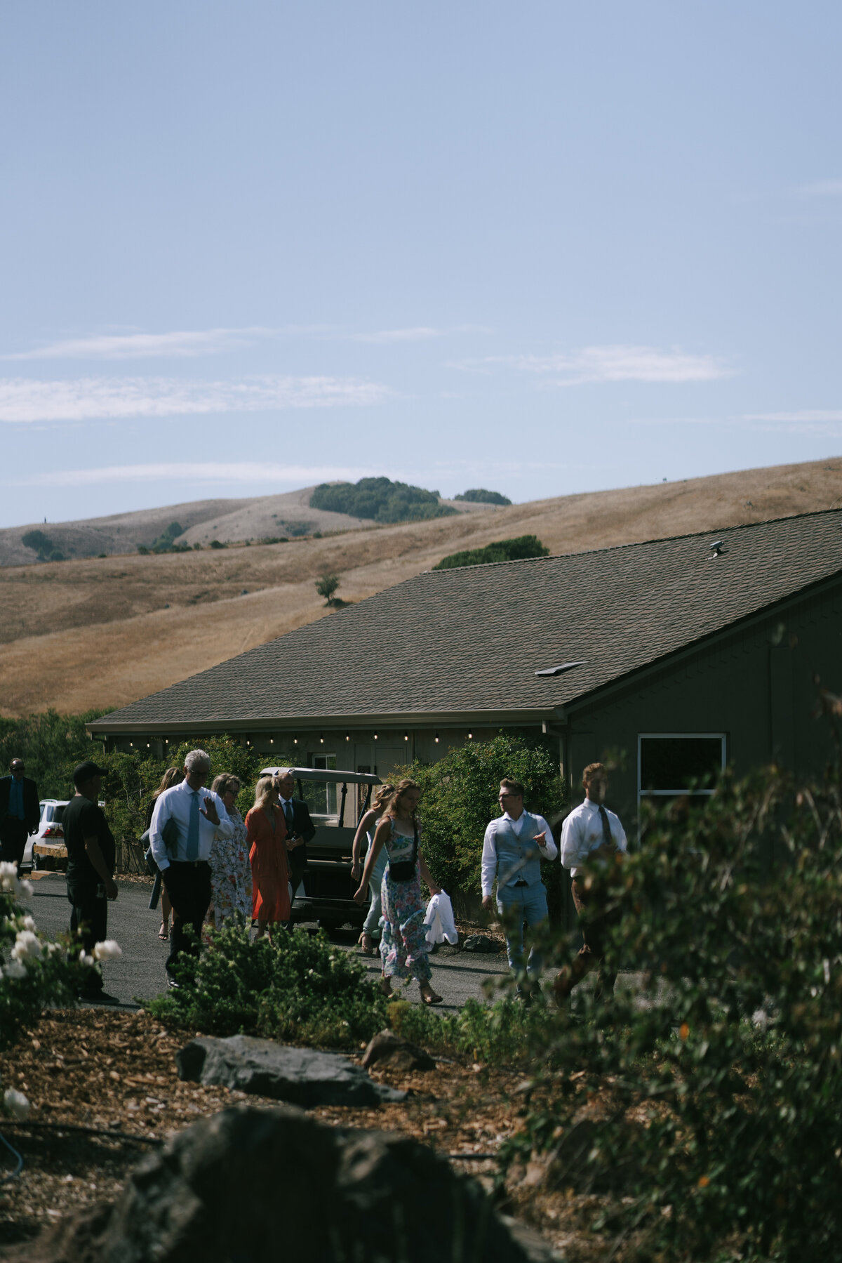 Intimate Wine Country Wedding in Sonoma, California