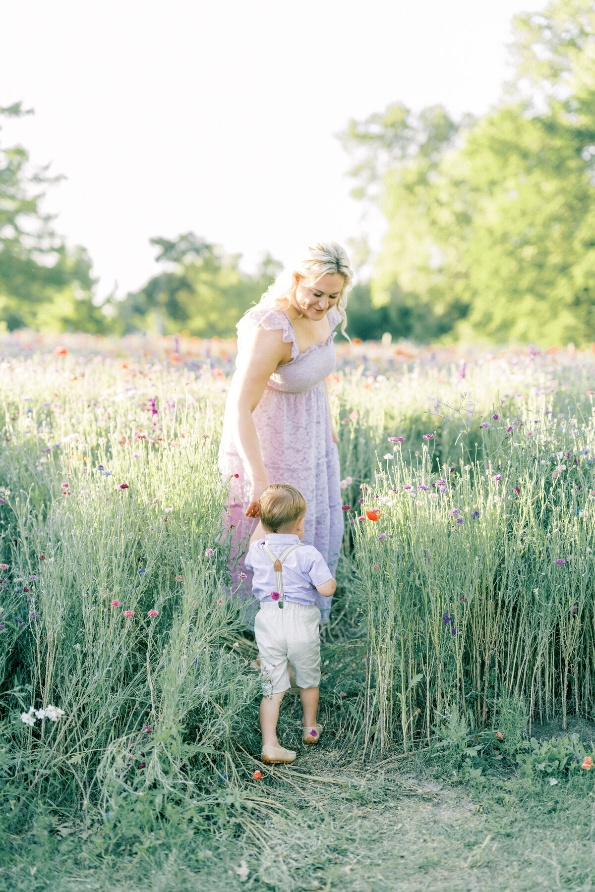 regan-wildflowers-2024-102