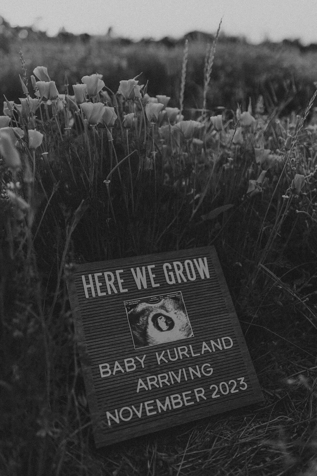 wildflower pregnancy announcement-134_websize