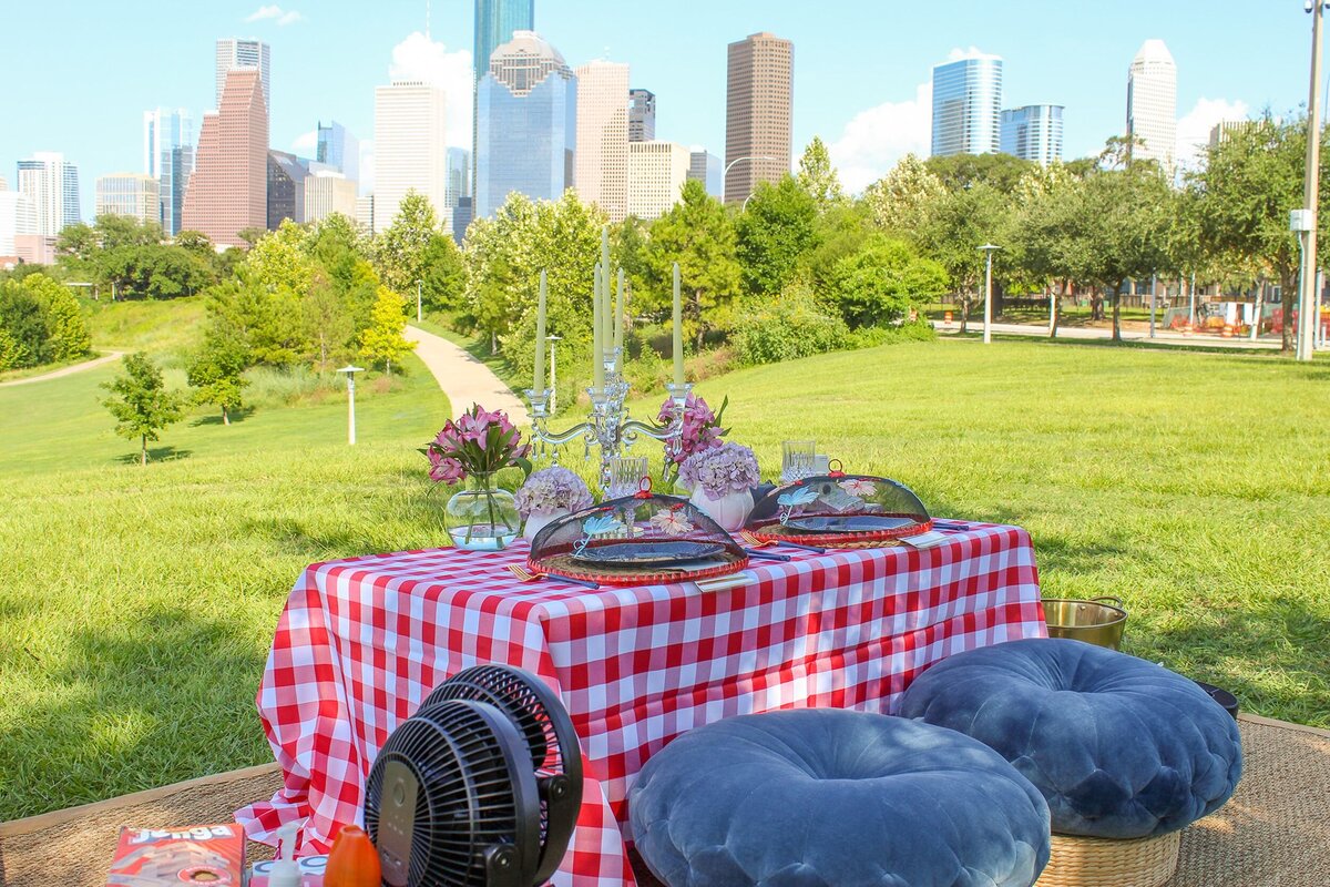 Red and white picnic with blue cushions