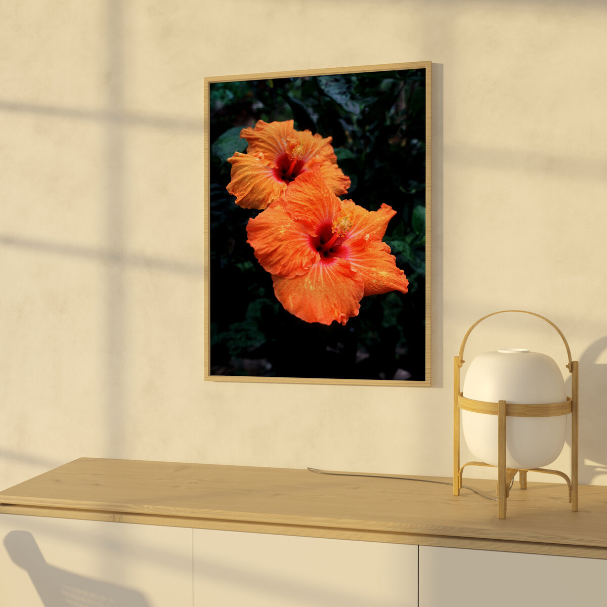 ©FredWGillaspy-HI-Orange-Hibiscus-1-MU-001