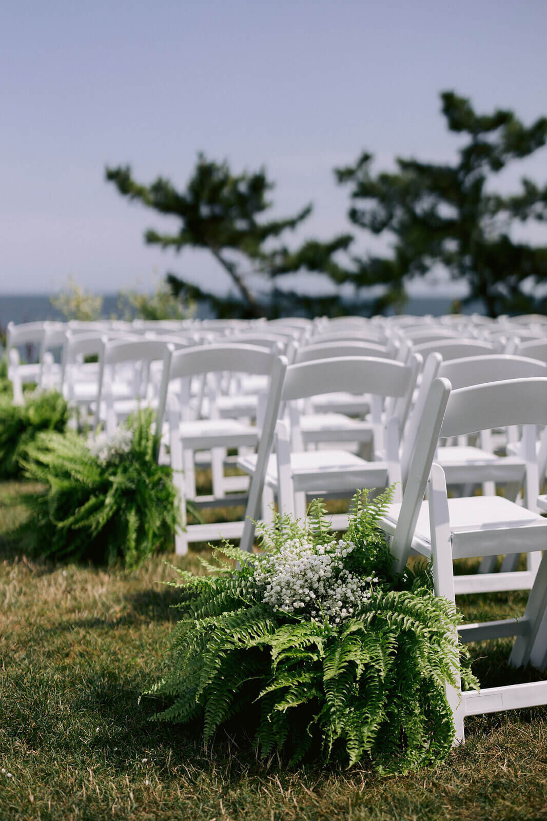 A bunch of ferns with small white flowers on top are placed on every end of a row of chairs in a wedding aisle at Cape Cod.