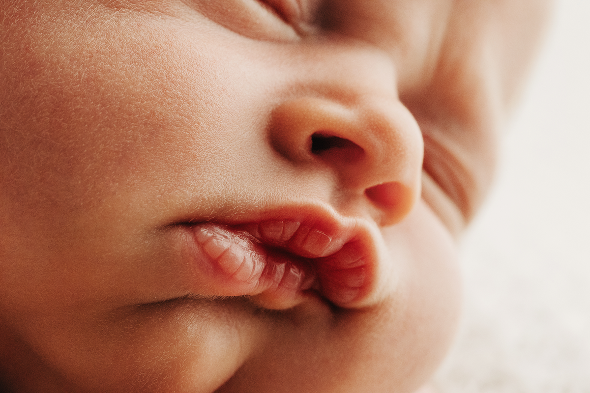 memphis newborn photography by jen howell 54