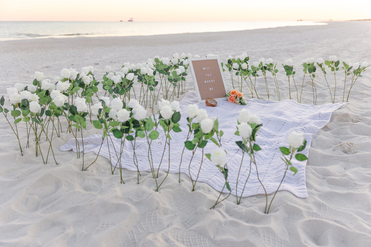 Will you marry me sign with white roses and blanket 