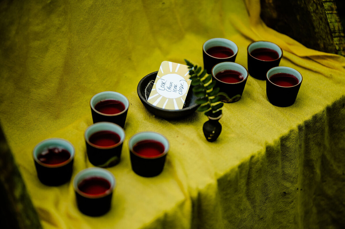 launchyourdaydreamretreatbywildecompany0622202526466