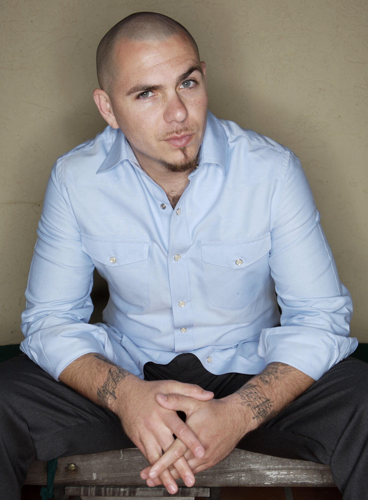 pitbull-portrait-rodrigo-varela-photography
