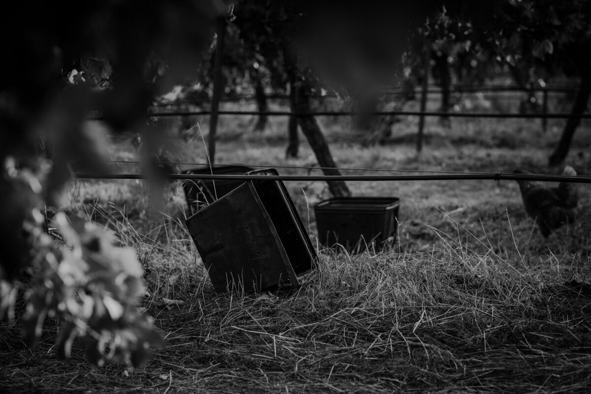 windows-estate-yallingup-margaret-river-freedom-garvey-photographer-011