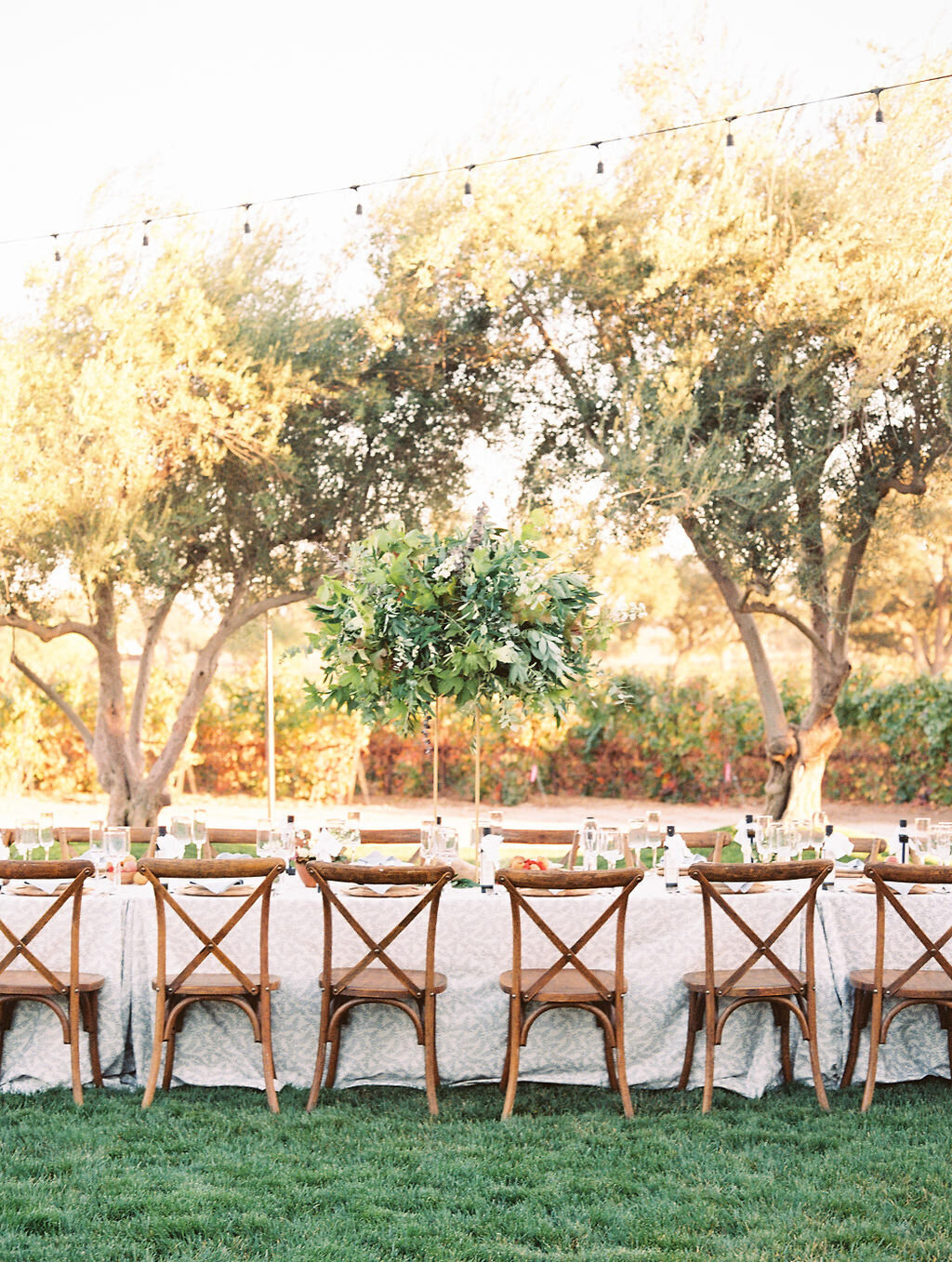 luxury-winery-wedding-detailed-touch-events18