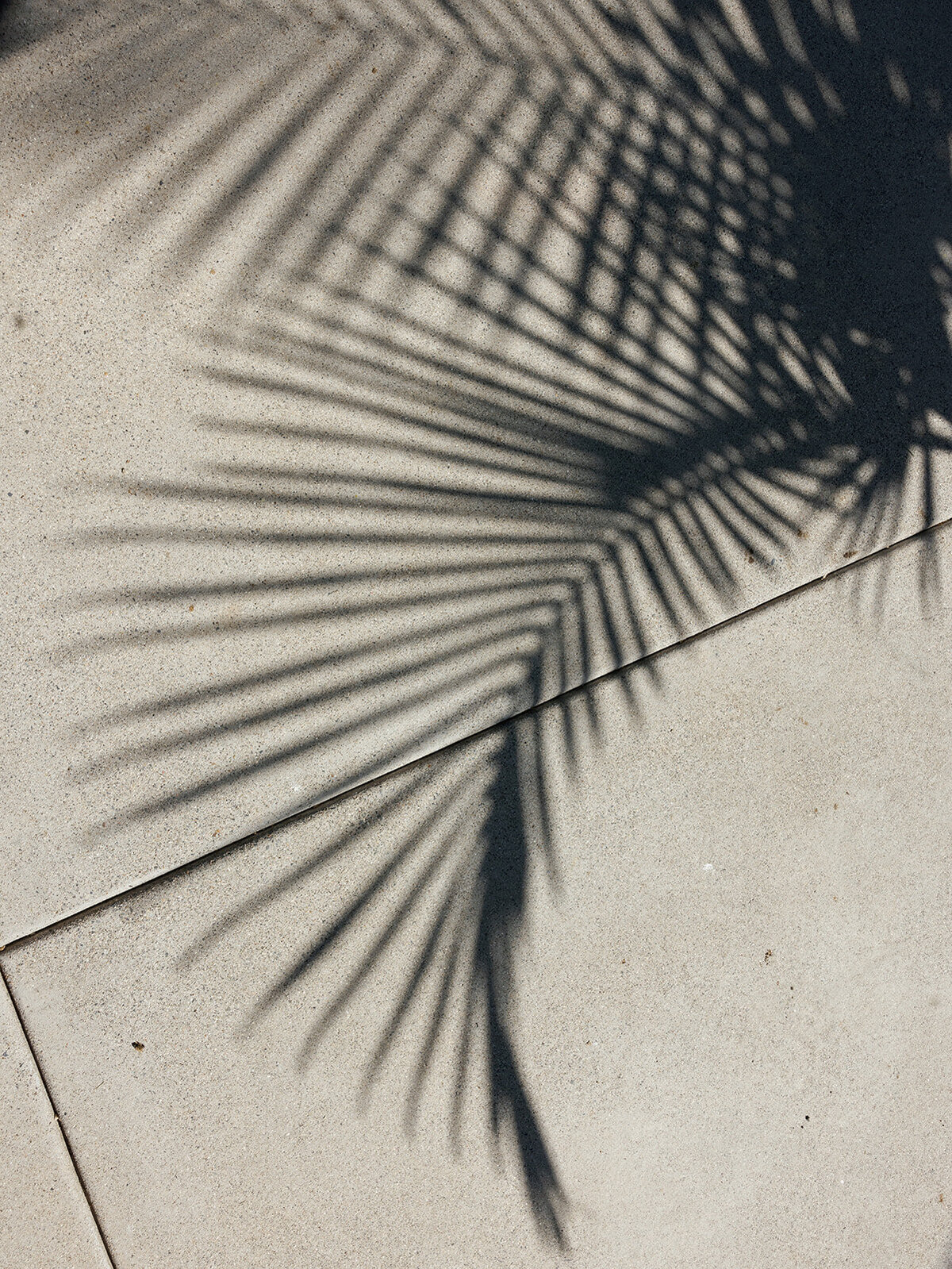 Rancho_Santa_Fe_wedding_venue_Estate_wedding_luxury_wedding_planner_wedding_tour_ San_Diego_weddings0197