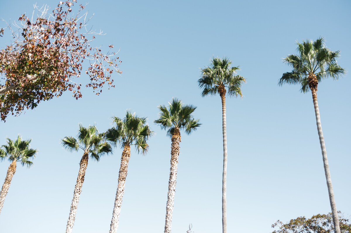 sandiego_0020