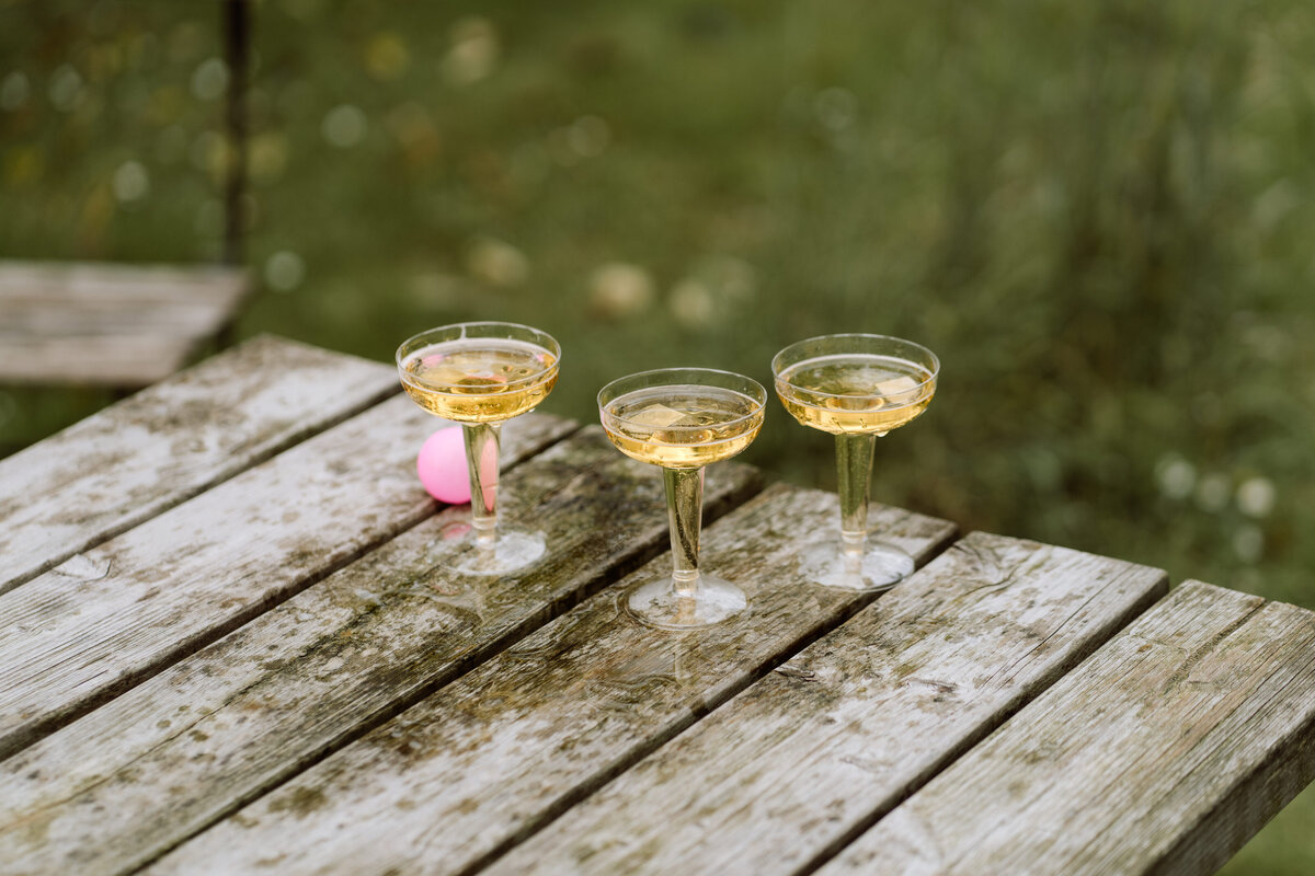 rouwfotograaf legt intieme bruiloft vast bij In de Kas bij Winnsen – detail champagne glazen en ping pong bal 