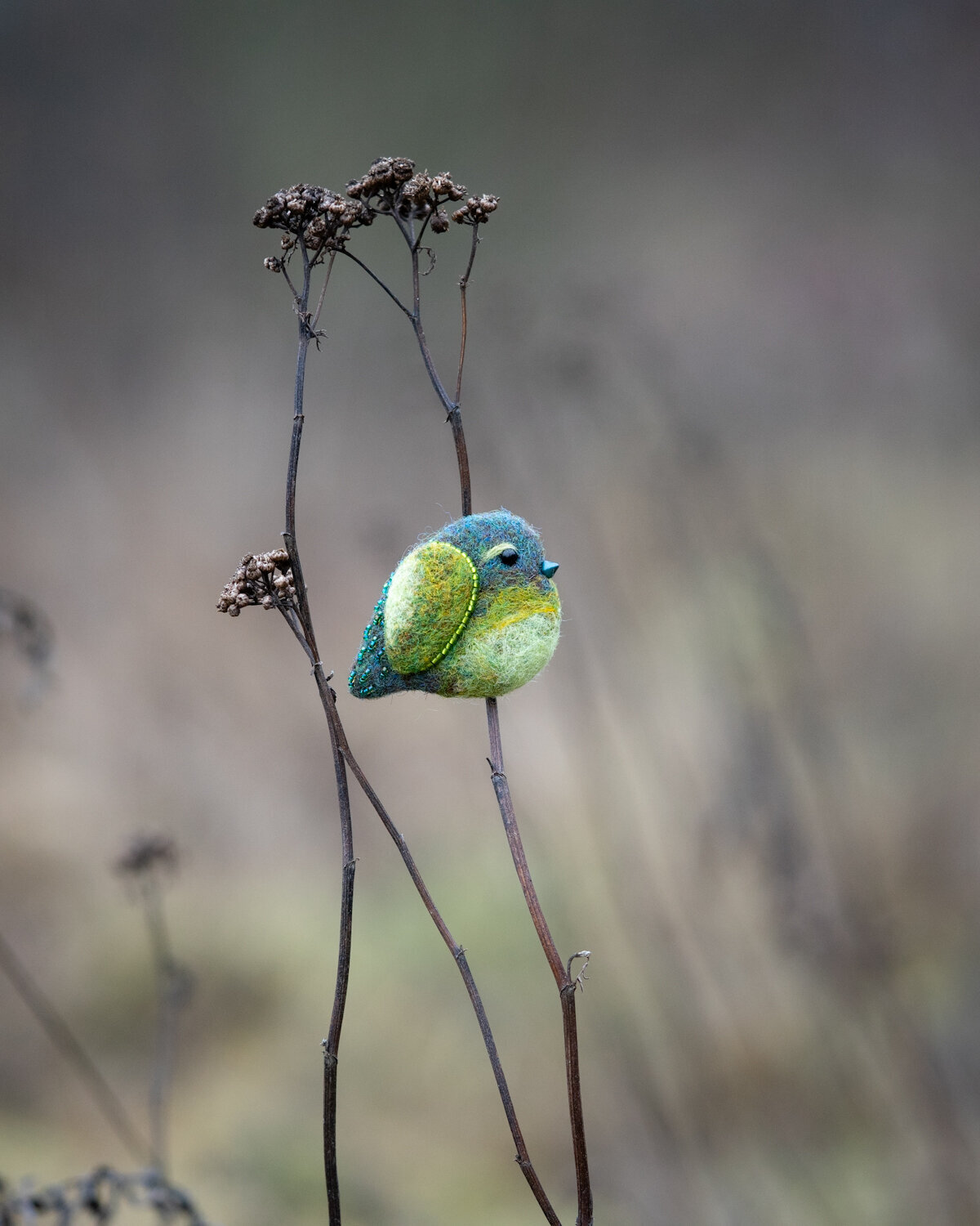 Bird_on_Birch_broz_ptacek_birdbrooch-2