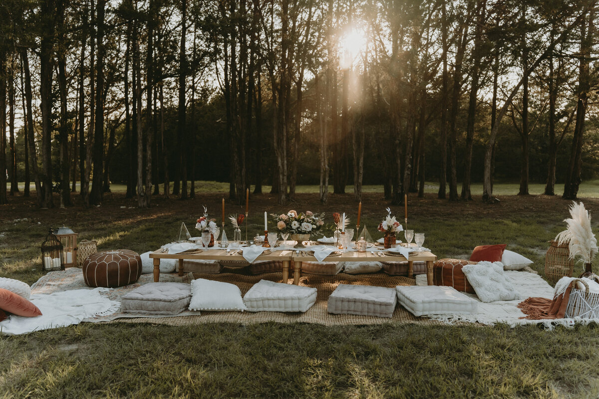 Dallas  Forth Worth outdoor luxury boho picnic sunset pillows lanterns blankets