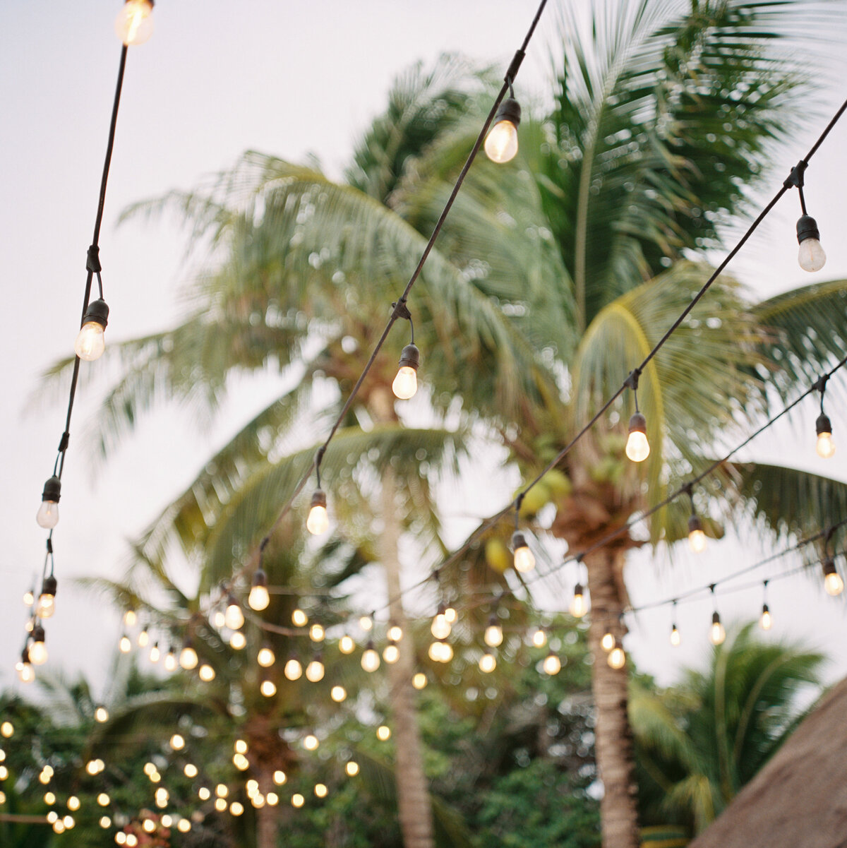 Philip-Casey-Photograpyhy-Tulum-Wedding-Film-Photography038