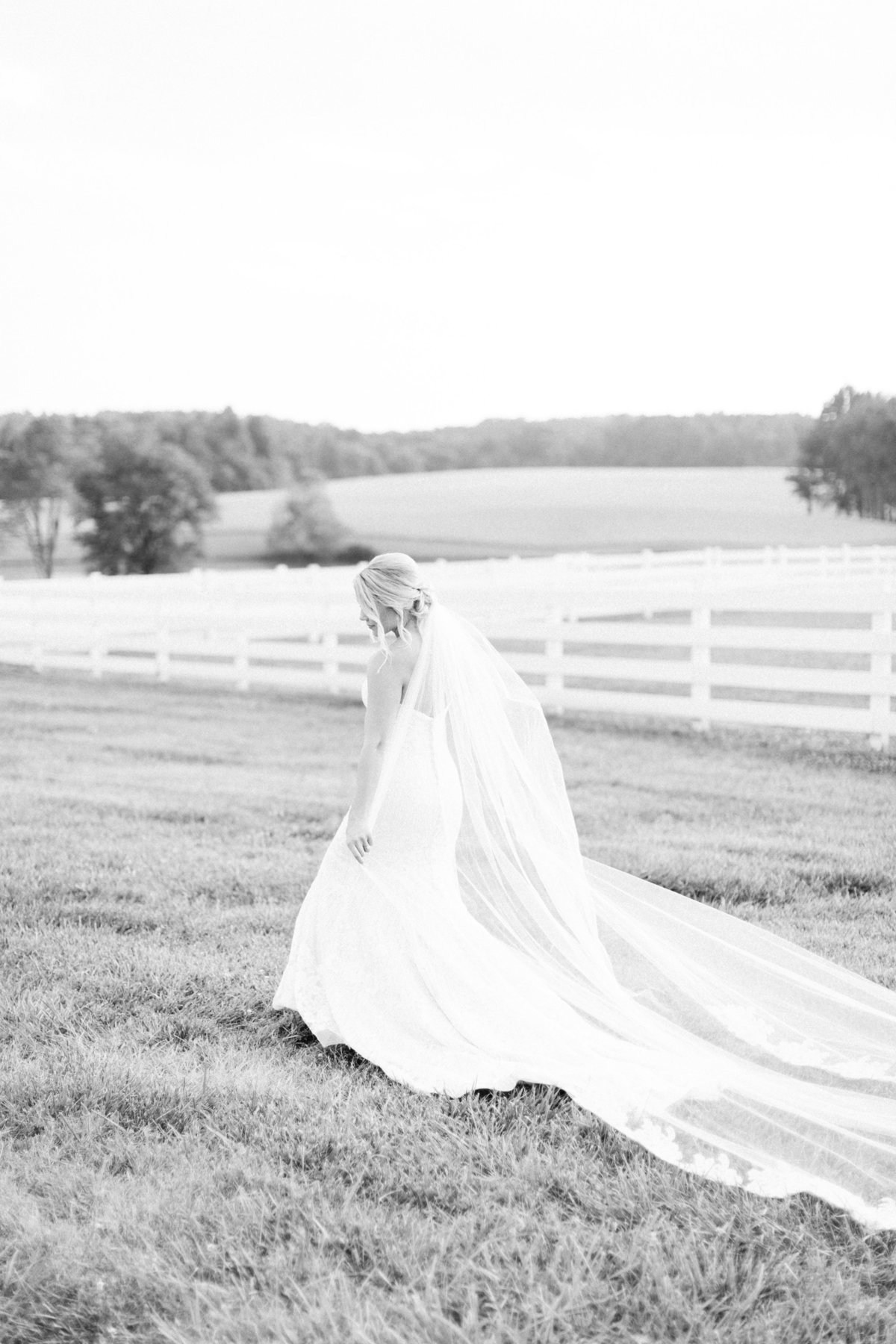 AshtonScott_Bridals-7513