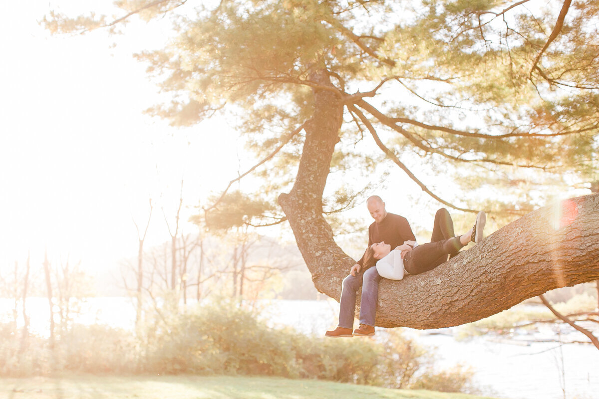 couple in a tree with backlight