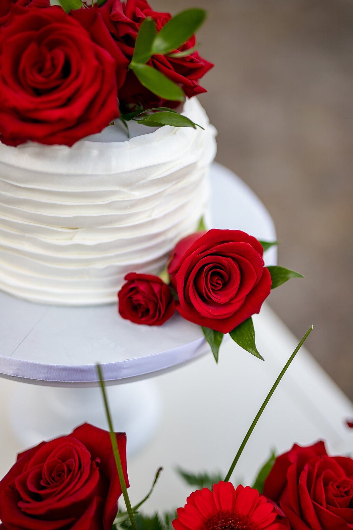 Foto-bohemia-photo-waterworks-parks-elope-tampa-chantilly-chic-celebrations-9