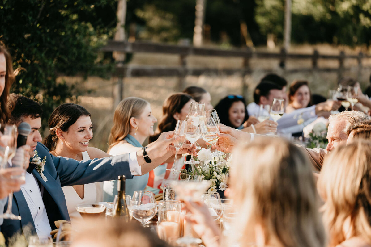 Sonoma Private Estate Wedding Toast