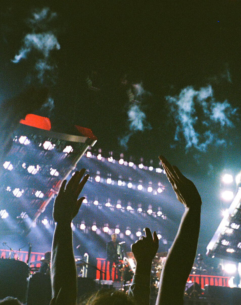 Queen-7