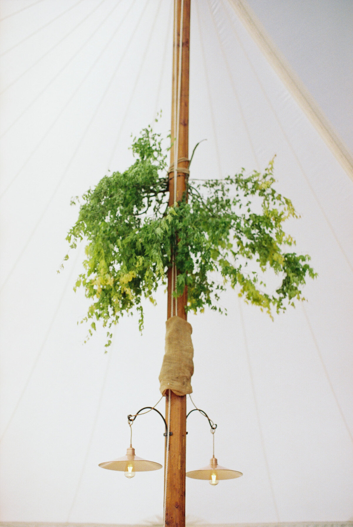 film-wedding-photographer-87