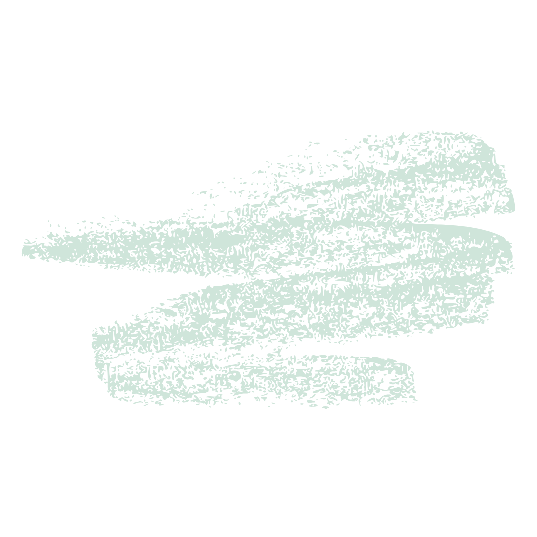 Allison Bolin Texas wedding photographer brand element scribble illustration