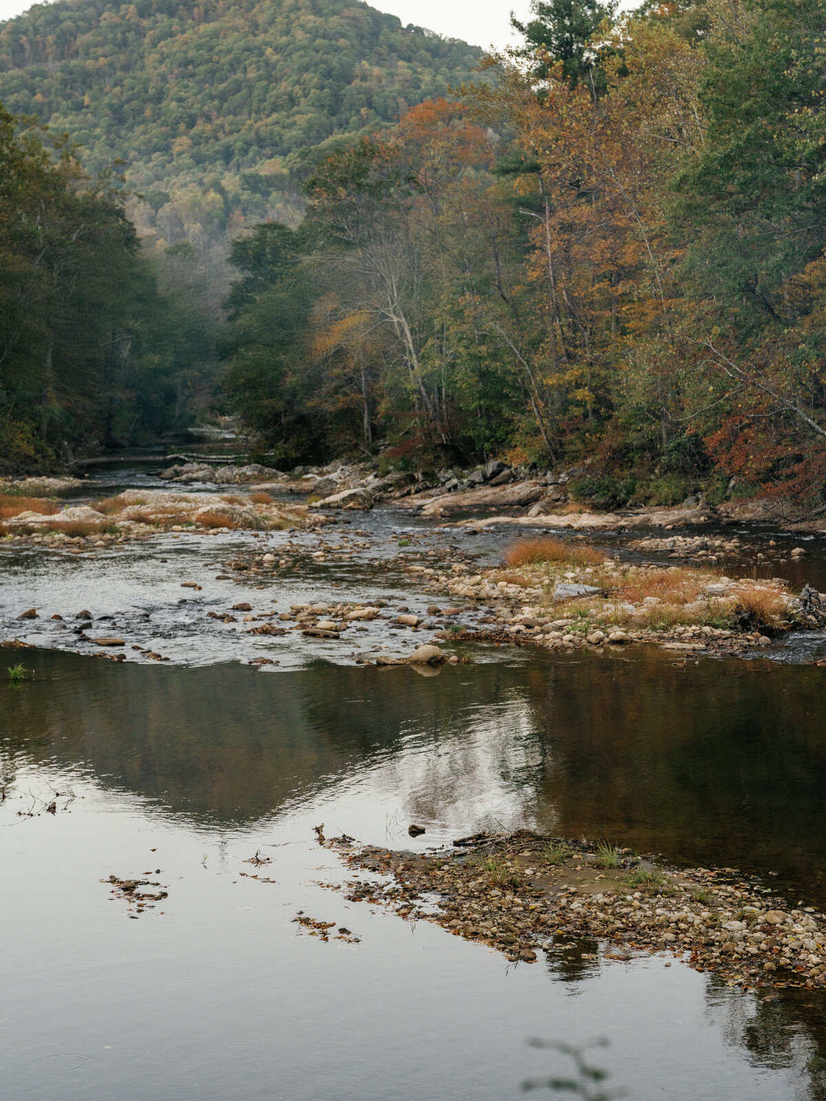 RachelGrant-Website--25