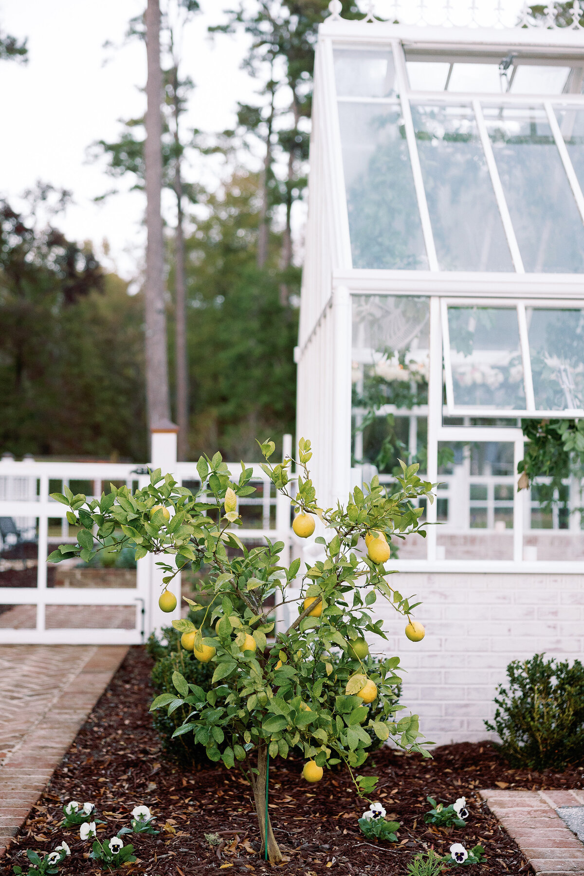 Private Tented Lowcountry Home Wedding 28