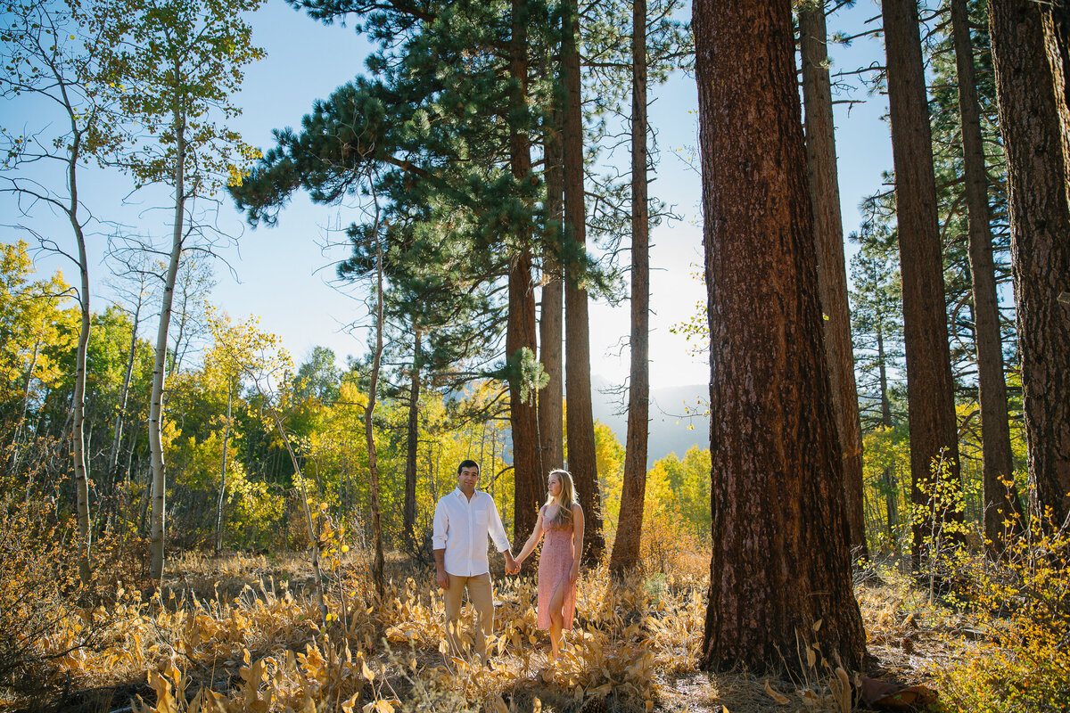 south-lake-tahoe-engagement-Portraits4