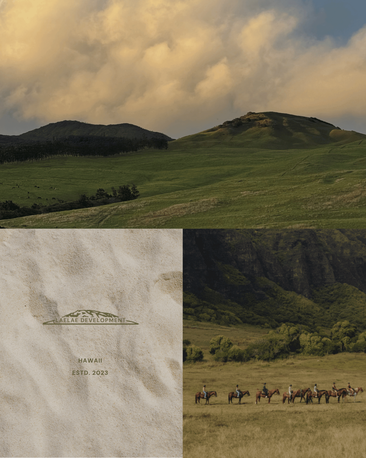 Custom logo and brand identity for Laelae Development by Chan in Hawaii