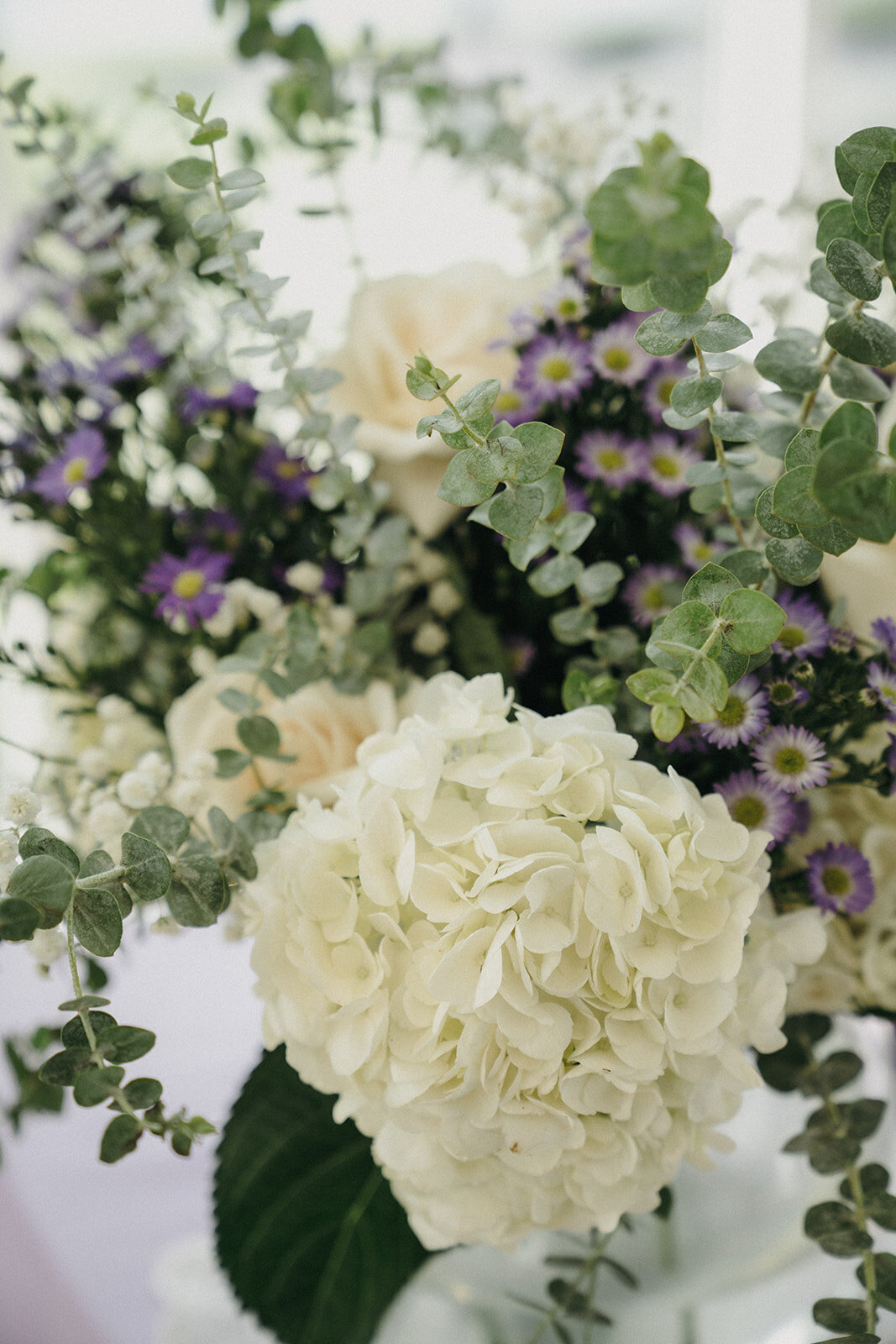 LaurenSchoepferPhotography_Carl+Kara-29