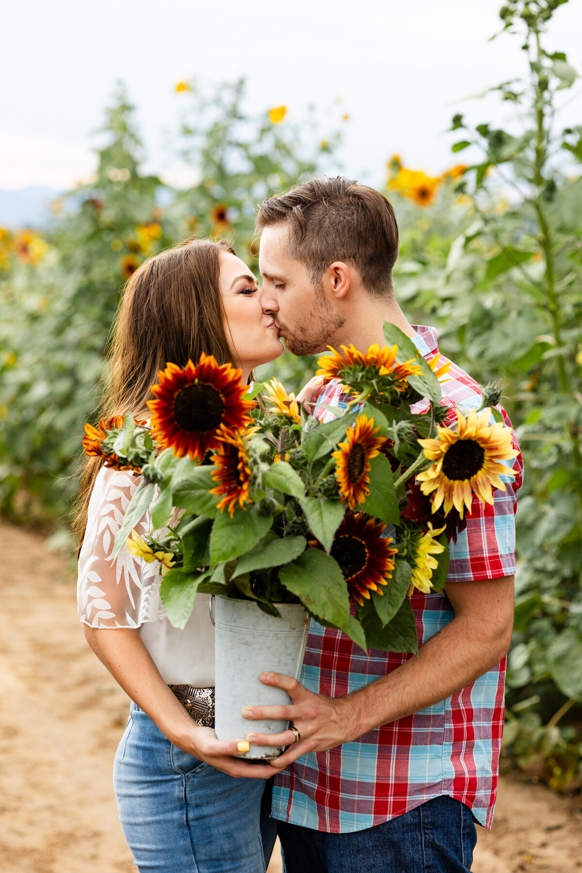 Colorado-sunflower-field-photography-30