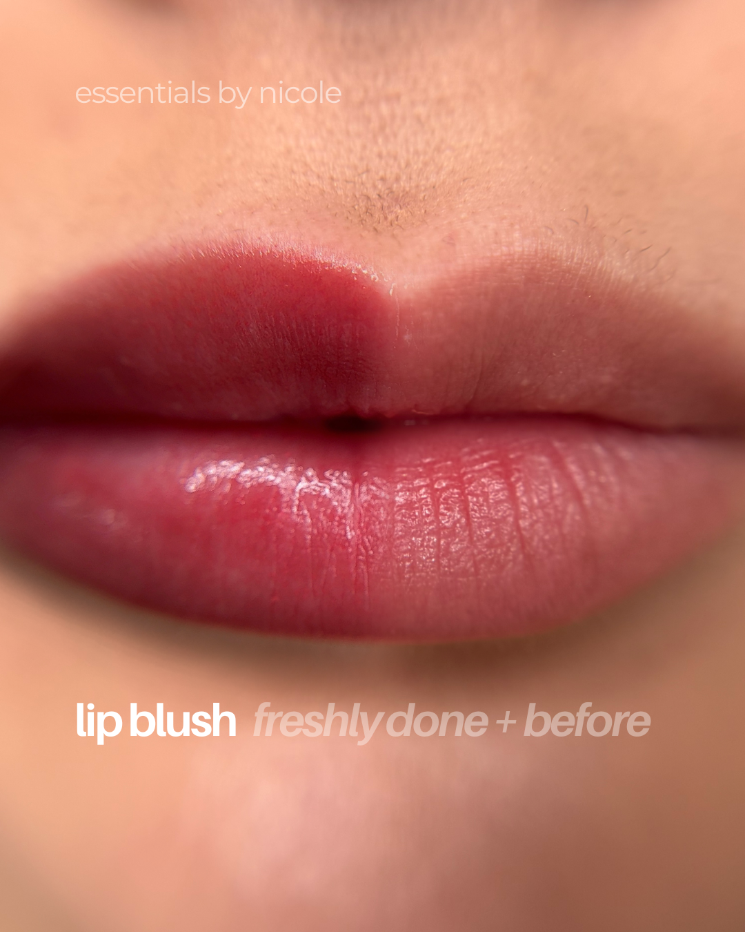 lip blush before and after west springfield, massachusetts Essentials by Nicole