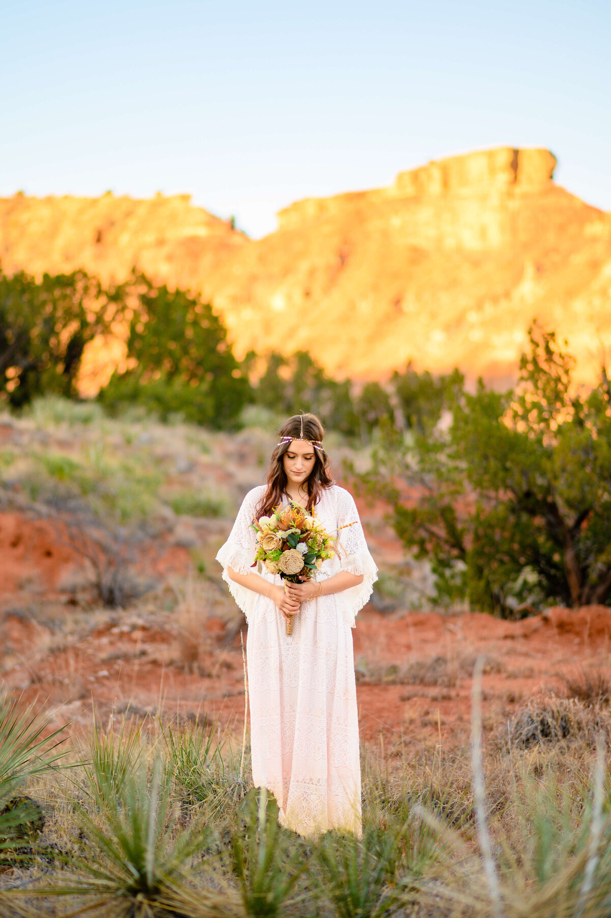 bride posed with bouquet with CO mountain range behind her