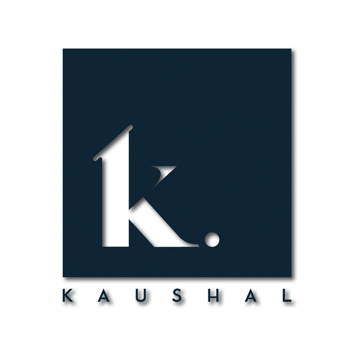 Logo-Design-Zoom-Into-Life-Studio-Inc-Puja-Misra-Graphics-Web-Branding