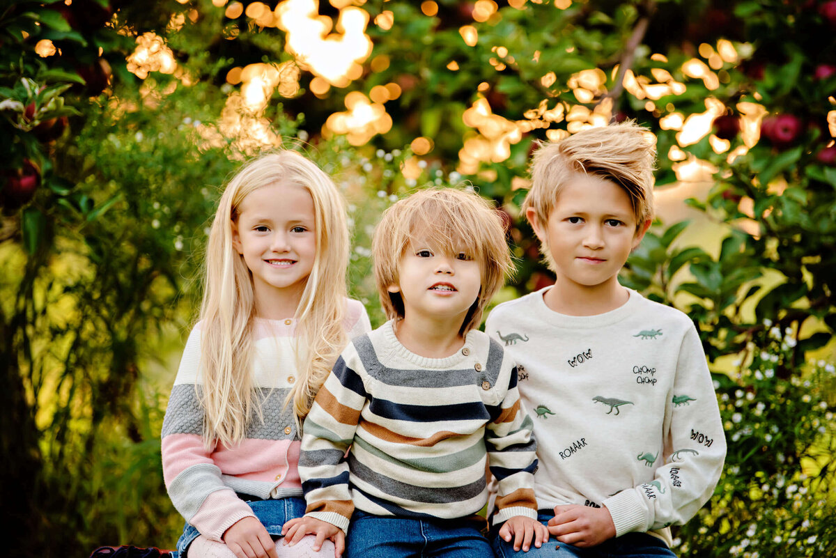 up-close photo of two brothers and sister sitting on an apple crate for their fall family photos