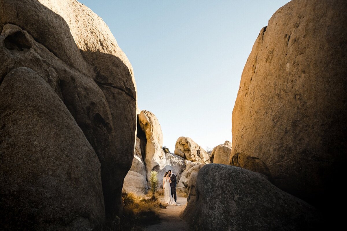 Joshua Tree Wedding Ideas