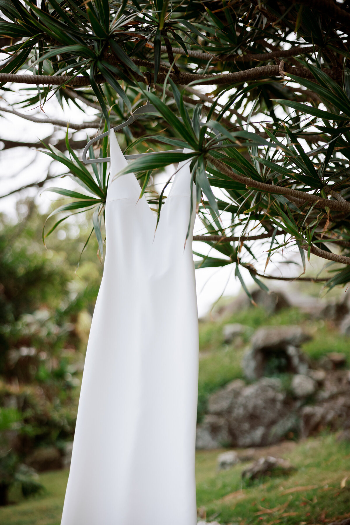 Wedding dress hangs gracefully from a tree in Carmel, captured in a serene and timeless moment.