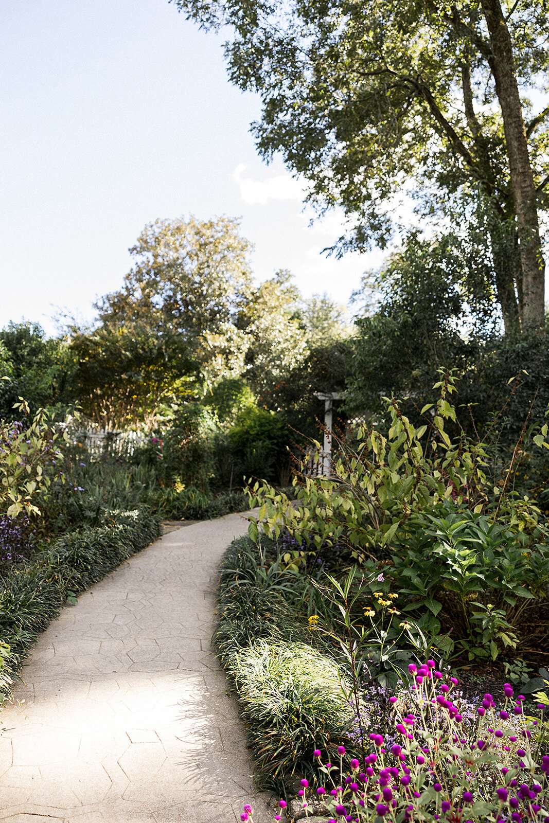 Wildflower Garden 2