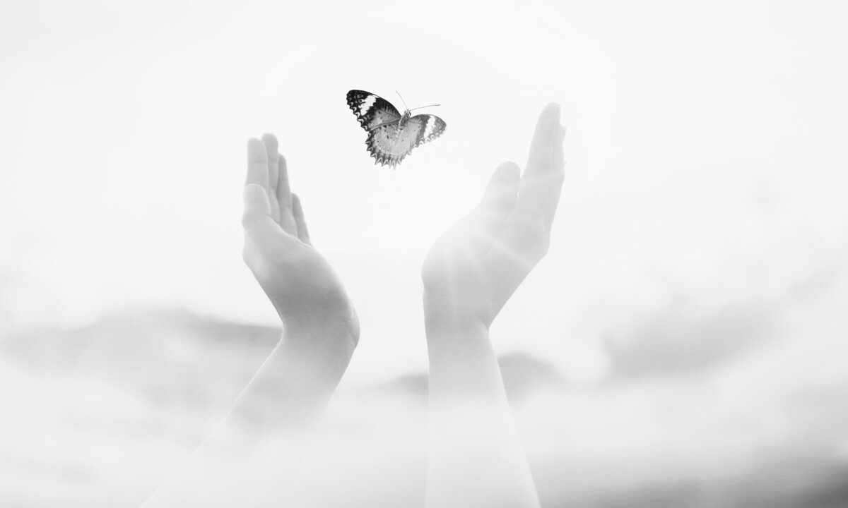 hands-up-releasing-butterfly