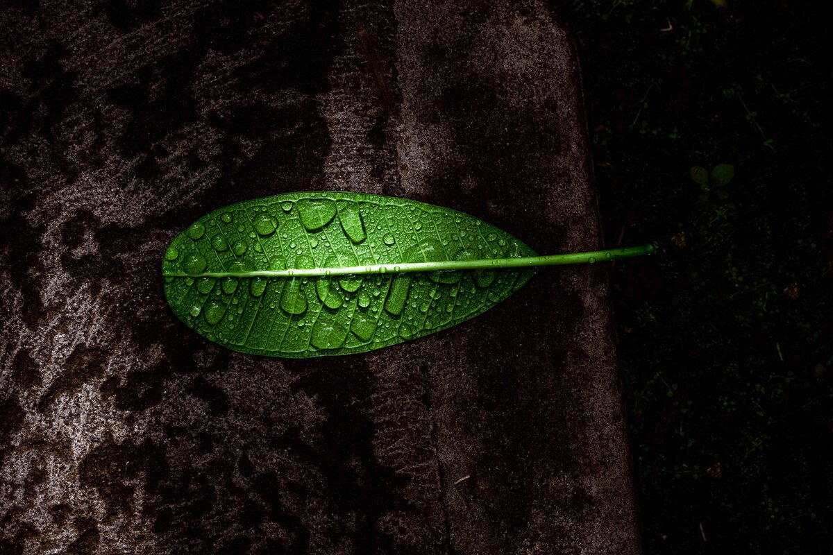 _DSC4430-Edit