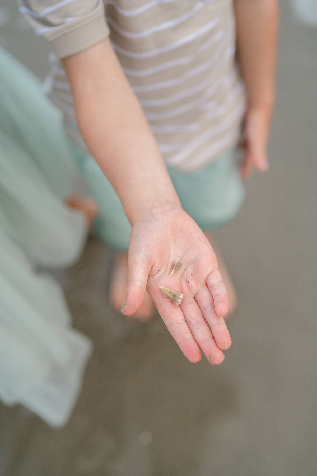 family_portrait_beach_Cape_May_NJ20240307_0033