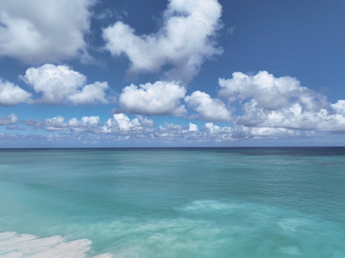 DJI_0308