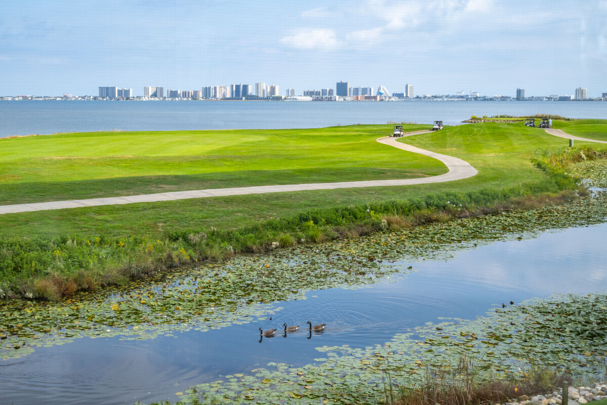 Waterfront photography 36