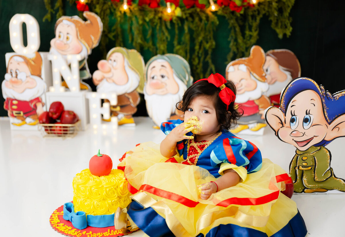 Chicago-cake-smash-photographer-37